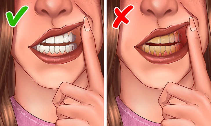Tại sao nên đánh răng chỉ một lần mỗi ngày?