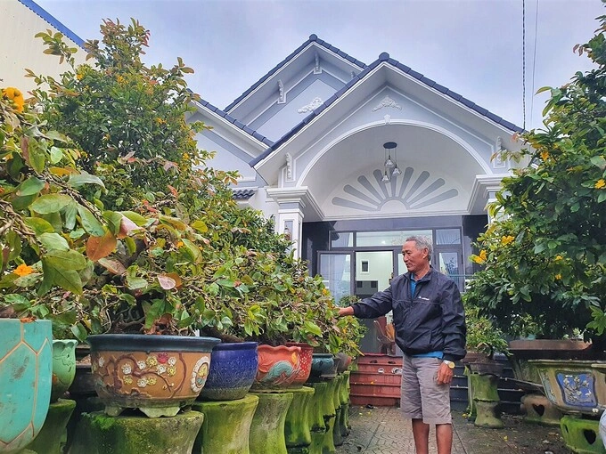 Hiện ông Đỗ Văn Phẩm có khoảng 150 cây mai bonsai tại nhà ở thị xã An Nhơn, Bình Định. Ảnh: Minh Tâm.