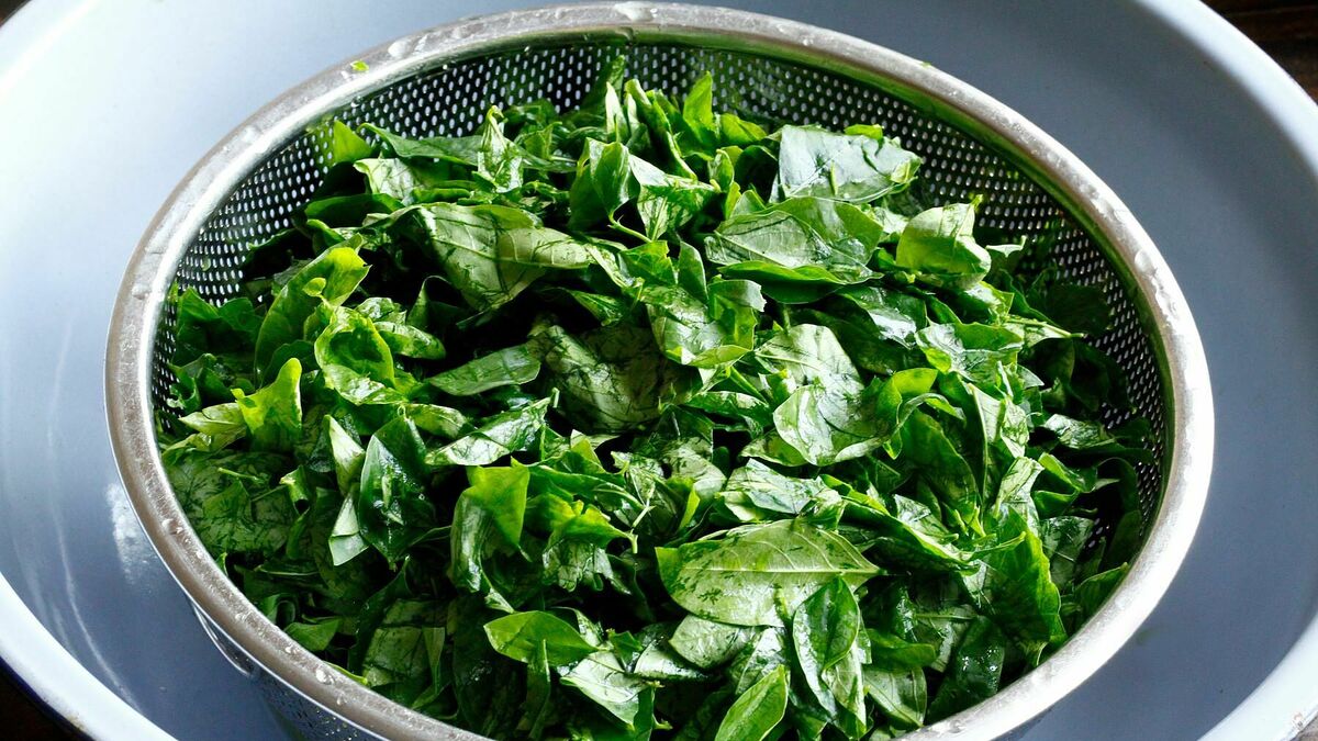 Vì sao nên vò rau ngót trước khi nấu? - Báo VnExpress Cooking