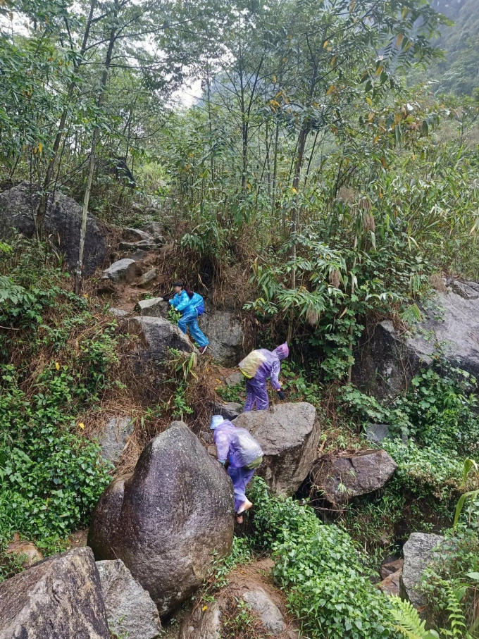 Ngọc Nhi, 27 tuổi (đi sau cùng) cùng hai người bạn từng chinh phục nhiều đỉnh núi cao ở Việt Nam, trong chuyến leo đỉnh Pu Ta Leng (Lai Châu), cuối năm 2025. Ảnh: Nhân vật cung cấp