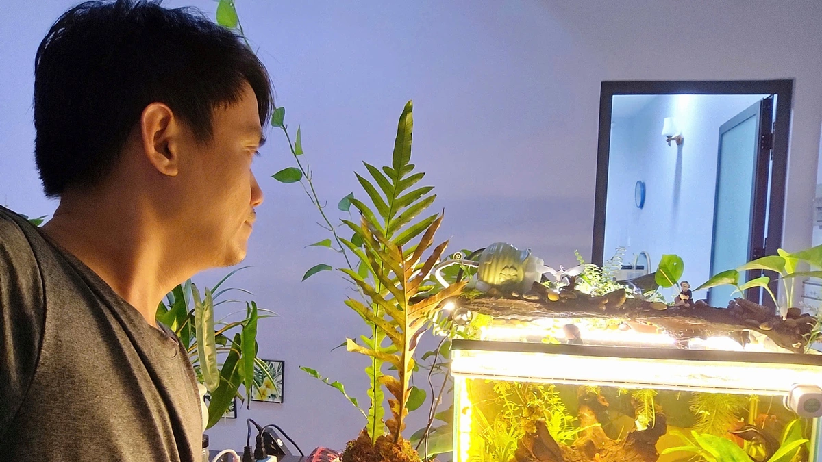 Bỏ nghỉ hưu sớm vì không chịu được nhàn rỗi