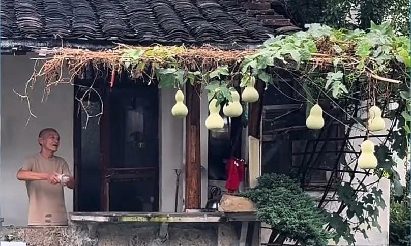 Phiền toái vì giàn hồ lô nổi tiếng mạng xã hội